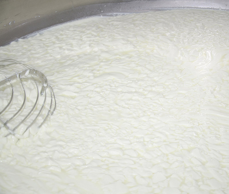 Rottura della cagliata