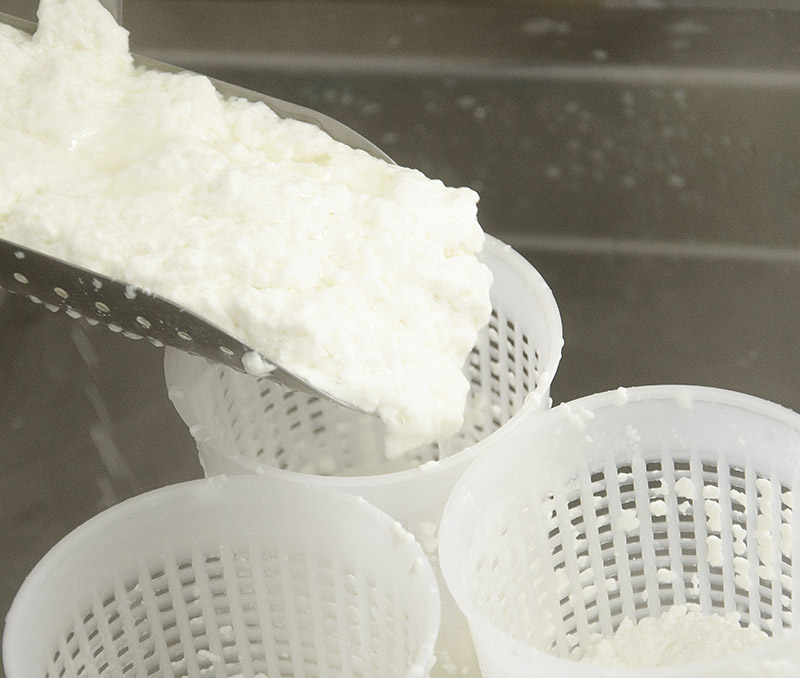 Dal siero alla ricotta