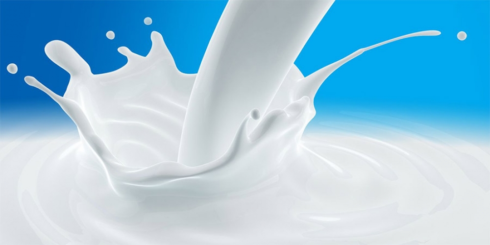 I valori nutrizionali